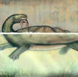 This is a reconstruction of <I>Carbonemys</I> preying upon a small crocodylomorph.