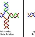 Biodesign Institute scientist John Chaput and his research team have made the first self-assembled nanostructures composed entirely of glycerol nucleic acid -- a synthetic analog of DNA. 

The nanostructures contain additional properties not found in natural DNA, including the ability to form mirror image structures. The ability to make mirror image structures opens up new possibilities for nanotechnology.