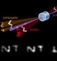 A laser beam (marked as "probe") first passes through
a mask that imprints a visual pattern. Along with a
second laser beam (marked "pump"), it enters a cell
containing a gas of rubidium atoms. Interactions
between the rubidium gas and the beams produce an
amplified version of the imprinted image as well as a
second version of the image, rotated 180 degrees
around the pump. The bottom panel shows, from left to
right, an incoming probe beam imprinted with the
letters "N" and "T," an outgoing probe beam with an
amplified image, and an upside-down version of the
letters. The middle image is "entangled" with the
rightmost image; the images’ changes over time are
highly related to one another.
