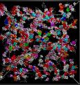 Colloidal particles, that mimic atoms, form a gel with the structure of glass.
