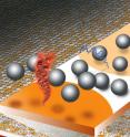 A new method for reading DNA (or RNA) microarrays is based on measuring the electrostatic repulsion between silica microspheres and hybridized DNA. Surface areas containing double-stranded DNA (red) or single-stranded DNA (blue) can be easily distinguished from each other and from background areas by the naked eye. A new method for reading DNA (or RNA) microarrays is based on measuring the electrostatic repulsion between silica microspheres and hybridized DNA. Surface areas containing double-stranded DNA (red) or single-stranded DNA (blue) can be easily distinguished from each other and from background areas by the naked eye.
