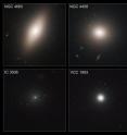 These images taken by the NASA/ESA Hubble Space Telescope show four members of the Virgo cluster of galaxies, the nearest large galaxy cluster to Earth.
They are part of a survey of globular star clusters in 100 of Virgo's galaxies. Globular clusters, dense bunches of hundreds of thousands of stars, have some of the oldest surviving stars in the universe. Most of the star clusters in the Virgo survey are older than 5 billion years.
The Hubble study found evidence that these hardy pioneers are more likely to form in dense areas, where star birth occurs at a rapid rate, instead of uniformly from galaxy to galaxy.
Hubble's "eye" is so sharp that it was able to pick out the fuzzy globular clusters, which, at that distance, look like individual stars bunched up around the galaxies, instead of groupings of stars.
Comprised of over 2,000 galaxies, the Virgo cluster is located about 54 million light-years away.
Astronomers made these composite images from the advanced camera's full field-of-view observations. They also used modeling data to fill in a narrow gap between the camera's detectors.
The images were taken from December 2002 to December 2003. These images taken by the NASA/ESA Hubble Space Telescope show four members of the Virgo cluster of galaxies, the nearest large galaxy cluster to Earth.
They are part of a survey of globular star clusters in 100 of Virgo's galaxies. Globular clusters, dense bunches of hundreds of thousands of stars, have some of the oldest surviving stars in the universe. Most of the star clusters in the Virgo survey are older than 5 billion years.
The Hubble study found evidence that these hardy pioneers are more likely to form in dense areas, where star birth occurs at a rapid rate, instead of uniformly from galaxy to galaxy.
Hubble's "eye" is so sharp that it was able to pick out the fuzzy globular clusters, which, at that distance, look like individual stars bunched up around the galaxies, instead of groupings of stars.
Comprised of over 2,000 galaxies, the Virgo cluster is located about 54 million light-years away.
Astronomers made these composite images from the advanced camera's full field-of-view observations. They also used modeling data to fill in a narrow gap between the camera's detectors.
The images were taken from December 2002 to December 2003.