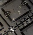A close-up of one of the circuits used in the quantum mechanics experiment. A close-up of one of the circuits used in the quantum mechanics experiment.