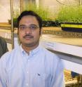 UD profs Harsh Bais (right) and Kirk Czymmek are shown with Arabidopsis plants in a growth chamber at the Delaware Biotechnology Institute. UD profs Harsh Bais (right) and Kirk Czymmek are shown with Arabidopsis plants in a growth chamber at the Delaware Biotechnology Institute.