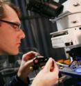 Dr. Don Cooper and colleagues have reported that individual nerve cells in the front part of the brain can hold traces of memories on their own for as long as a minute and possibly longer. The finding has implications for addiction, attention disorders and stress-related memory loss.