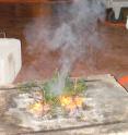 Smoldering ponderosa pine fires contain alkaloids. Smoldering ponderosa pine fires contain alkaloids.