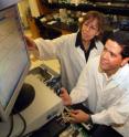 This is Dr. Rita C.Tostes, physiologist in the MCG School of Medicine and Victor Lima, a graduate student at the University of Sao Paulo. This is Dr. Rita C.Tostes, physiologist in the MCG School of Medicine and Victor Lima, a graduate student at the University of Sao Paulo.