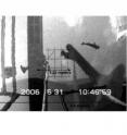 Scripps researchers superimposed an image from the whale video with a photo of a pool with known dimensions to help determine the whale's size. Scripps researchers superimposed an image from the whale video with a photo of a pool with known dimensions to help determine the whale's size.