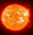Sun-damaged rough patches on the skin -- actinic keratoses -- can turn into a greater variety of skin cancers than doctors had thought. Sun-damaged rough patches on the skin -- actinic keratoses -- can turn into a greater variety of skin cancers than doctors had thought.