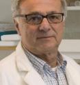 This is Professor Jörgen A. Engel.