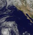 NASA's GOES Project created a movie of Hurricane Felicia's track (bottom left corner) through the Eastern Pacific Ocean from Aug. 5 through Aug. 7 from NOAA's GOES-11 satellite. It clearly showed Felicia's eye when she was a Category 4 hurricane. Tropical Storm Enrique was northeast of Felicia.
To watch GOES satellite movie: <A HREF="http://www.nasa.gov/mov/377027main_felicia_goesMOV.mov">http://www.nasa.gov/mov/377027main_felicia_goesMOV.mov</A> NASA's GOES Project created a movie of Hurricane Felicia's track (bottom left corner) through the Eastern Pacific Ocean from Aug. 5 through Aug. 7 from NOAA's GOES-11 satellite. It clearly showed Felicia's eye when she was a Category 4 hurricane. Tropical Storm Enrique was northeast of Felicia.
To watch GOES satellite movie: <A HREF="http://www.nasa.gov/mov/377027main_felicia_goesMOV.mov">http://www.nasa.gov/mov/377027main_felicia_goesMOV.mov</A>