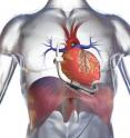 DeBakey Heart Assist