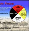 This is the Medicine Wheel, representing the four dietary components of the traditional Northern Plains Indian hunter-gatherer food pattern.
