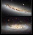 This composite shows the two ram pressure stripping galaxies NGC 4522 and NGC 4402.
Hubble's Advanced Camera for Surveys allows astronomers to study an interesting and important phenomenon called ram pressure stripping that is so powerful, it is capable of mangling galaxies and even halting their star formation.
NGC 4522 is a spectacular example of a spiral galaxy that is currently being stripped of its gas content. The galaxy is part of the Virgo galaxy cluster and its rapid motion within the cluster results in strong winds across the galaxy as the gas within is left behind. Scientists estimate that the galaxy is moving at more than 10 million kilometres per hour. A number of newly formed star clusters that developed in the stripped gas can be seen in the Hubble image. The stripped spiral galaxy is located some 60 million light-years away from Earth.
The second image shows NGC 4402 and highlights some telltale signs of ram pressure stripping such as the curved, or convex, appearance of the disc of gas and dust, a result of the forces exerted by the heated gas. Light being emitted by the disc backlights the swirling dust that is being swept out by the gas. Studying ram pressure stripping helps astronomers better understand the mechanisms that drive the evolution of galaxies, and how the rate of star formation is suppressed in very dense regions of the Universe like clusters. This composite shows the two ram pressure stripping galaxies NGC 4522 and NGC 4402.
Hubble's Advanced Camera for Surveys allows astronomers to study an interesting and important phenomenon called ram pressure stripping that is so powerful, it is capable of mangling galaxies and even halting their star formation.
NGC 4522 is a spectacular example of a spiral galaxy that is currently being stripped of its gas content. The galaxy is part of the Virgo galaxy cluster and its rapid motion within the cluster results in strong winds across the galaxy as the gas within is left behind. Scientists estimate that the galaxy is moving at more than 10 million kilometres per hour. A number of newly formed star clusters that developed in the stripped gas can be seen in the Hubble image. The stripped spiral galaxy is located some 60 million light-years away from Earth.
The second image shows NGC 4402 and highlights some telltale signs of ram pressure stripping such as the curved, or convex, appearance of the disc of gas and dust, a result of the forces exerted by the heated gas. Light being emitted by the disc backlights the swirling dust that is being swept out by the gas. Studying ram pressure stripping helps astronomers better understand the mechanisms that drive the evolution of galaxies, and how the rate of star formation is suppressed in very dense regions of the Universe like clusters.
