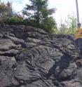 The well-exposed layering of basalt flows in formations near Lake Superior is aiding scientific understanding of the geomagnetic field in ancient times. Nicholas Swanson-Hysell, a Princeton graduate student, examines the details of the top of a lava flow.