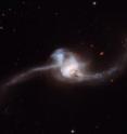 Not surprisingly, interacting galaxies have a dramatic effect on each other. Studies have revealed that as galaxies approach one another massive amounts of gas are pulled from each galaxy towards the center of the other, until ultimately, the two merge into one massive galaxy. NGC 2623 is in the late stages of the merging process, with the centers of the original galaxy pair now merged into one nucleus, but stretching out from the center are two tidal tails of young stars, a strong indicator that a merger has taken place. During such a collision, the dramatic exchange of mass and gases initiates star formation, seen here in both the tails.

The prominent lower tail is richly populated with bright star clusters -- 100 of them have been found in these observations. These star clusters may have formed as part of a loop of stretched material associated with the northern tail, or they may have formed from debris falling back onto the nucleus. In addition to this active star-forming region, both galactic arms harbor very young stars in the early stages of their evolutionary journey.