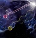 In this illustration, one photon (purple) carries a million times the energy of another (yellow). Some theorists predict travel delays for higher-energy photons, which interact more strongly with the proposed frothy nature of space-time. Yet Fermi data on two photons from a gamma-ray burst fail to show this effect, eliminating some approaches to a new theory of gravity. In this illustration, one photon (purple) carries a million times the energy of another (yellow). Some theorists predict travel delays for higher-energy photons, which interact more strongly with the proposed frothy nature of space-time. Yet Fermi data on two photons from a gamma-ray burst fail to show this effect, eliminating some approaches to a new theory of gravity.