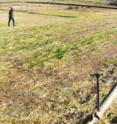 Environmental managers Mike Mitchell and Don Schofield check on the establishment of the new vegetation on the MWL cover.