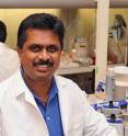 Anumantha Kanthasamy at Iowa State University has found an essential key to possibly cure Parkinson's disease and are looking for others.
Kanthasamy has been working to understand the complex mechanisms of the disease for more than a decade and thinks he has found hope for the cure. Anumantha Kanthasamy at Iowa State University has found an essential key to possibly cure Parkinson's disease and are looking for others.
Kanthasamy has been working to understand the complex mechanisms of the disease for more than a decade and thinks he has found hope for the cure.