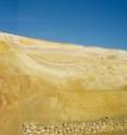 This image shows the reverse fault and associated fold in the Molat Albox (Almería). Its progressive development follows from the geometry and age of deformed sediments. This image shows the reverse fault and associated fold in the Molat Albox (Almería). Its progressive development follows from the geometry and age of deformed sediments.