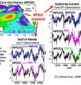 The North Pacific Gyre Oscillation explains changes in salinity, nutrients and chlorophyll seen in the Northeast Pacific.