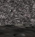 This illustration from a hypothetical planet in a distant ultradense galaxy reveals a sky packed with thousands of stars. There are 200 times more stars in this sky than in our Earth's nighttime sky. The ultradense galaxies existed about 11 billion years ago. They are a fraction of the size of today's galaxies but contain the same number of stars.