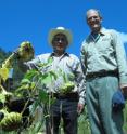 Lentz with Tarahumara sunflower gardener