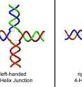 Biodesign Institute scientist John Chaput and his research team have made the first self-assembled nanostructures composed entirely of glycerol nucleic acid -- a synthetic analog of DNA. 

The nanostructures contain additional properties not found in natural DNA, including the ability to form mirror image structures. The ability to make mirror image structures opens up new possibilities for nanotechnology.