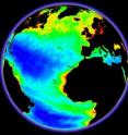 A GlobColor chlorophyll product showing the distribution of phytoplankton in the Atlantic Ocean and Mediterranean Sea.
