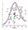 X-ray spectroscopy shows that a protein acetate group (molecule at center) prefers binding with sodium (blue curve) over potassium (red curve); the green sphere represents a cation, with surrounding water molecules in white.