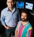 Illinois postdoctoral researcher Hasan Yardimci, left, and physics professor Paul Selvin explored the role of a motor protein, CENP-E, in moving chromosomes during a critical phase of cell division.