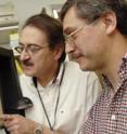 Neuroscientists Dr. Rolf Joho (left) and Dr. Felipe Espinosa are studying a human disorder called sleep maintenance insomnia, in which sufferers can get to sleep, but don't remain at rest for long. Their findings in mice  may help scientists better understand the disorder and provide an animal model for developing treatments.
