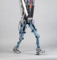 TU Delft is leading in constructing walking robots which are based on the way humans walk.