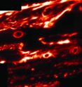 At infrared wavelengths (5 microns), the Keck II telescope detects thermal radiation from the deep atmosphere. In this mosaic of the area around Jupiter's red ovals, all three spots appear dark because clouds obscure heat emanating from lower elevations. Bright regions have reduced cloud cover, showing leakage of heat into space.
