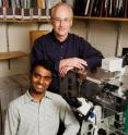 From left, graduate student Vijay Gupta and microbiology professor Steven Blanke discovered how an H. pylori toxin gets into cells.