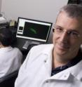 John Adams and his team at the University of South Florida study the complex life cycle of the malaria parasite (on computer screen) to try to find ways to block transmission of the deadly infection.
