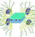 A filament-shaped artificial virus is formed by using a preorganized supramolecular nanoribbon as a template. The artificial virus, which is composed of the nanoribbon, small interfering RNAs (blue, double-helix shape), and hydrophobic guests (red), is highly efficient in delivering genes and drugs to the inside of cells.