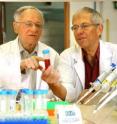 Prof. Shimon Gatt (left) and Dr. Arie Dagan in their laboratory at the Hebrew University–Hadassah Medical School.