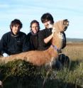 Wildlife Conservation Society veterinarians about to release a radio-collared guanaco as part of a new study on the Karukinka reserve in Tierra del Fuego. Shown from left to right: Claudio Moraga, WCS-Chile; Carolina Mallul, GHP Argentina; Cristóbal Briceño, WCS-Chile. Wildlife Conservation Society veterinarians about to release a radio-collared guanaco as part of a new study on the Karukinka reserve in Tierra del Fuego. Shown from left to right: Claudio Moraga, WCS-Chile; Carolina Mallul, GHP Argentina; Cristóbal Briceño, WCS-Chile.