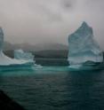 An iceberg in the Tasiilaq harbor in East Greenland in 2005.