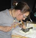 Researcher Victoria Arbour explores bones of a mysterious dinosaur found in the Canadian mountains.