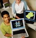 Biochemistry professor Mary Schuler and postdoctoral researcher Sanjeewa Rupasinghe used molecular modeling techniques to identify a protein that can metabolize DDT.