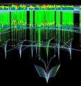 A colorful "map" of switches within cells was created by Naren Ramakrishnan at Virginia Tech and Upinder S. Bhalla at the National Centre for Biological Sciences in India, using Virginia Tech’s SystemX supercomputer. Every little square in the picture is a "switch." The lines indicate the relationship between the switches.