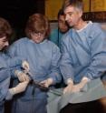 National Zoo Reproductive Scientists Copper Aitken-Palmer (L), JoGayle Howard and Pierre Comizzoli perform an artificial insemination on giant panda Mei Xiang on March 19 at the Fujifilm Giant Panda Habitat. She and the Zoo's male panda, Tian Tian were brought together on March 18 to allow the two to mate naturally. After keeping the two pandas together throughout the day, staff at the Fujifilm Giant Panda Habitat determined that natural mating was unsuccessful. Zoo scientists then decided to perform an artificial insemination.