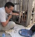 National Zoo Veterinarian Carlos Sanchez performs an ultrasound on giant panda Mei Xiang on May 7, 2008, at the Fujifilm Giant Panda Habitat. Scientists at the Zoo detected a secondary rise in urinary progestin levels in the Zoo's female giant panda Mei Xiang on June 16. This hormone rise is an indicator to Zoo scientists that it should be 40 to 50 days before Mei Xiang either gives birth to a cub or comes to the end of a pseudo pregnancy, or false pregnancy, which is common in giant pandas.