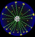 A Lodamin nanoparticle with TNP-470 (the drug's active ingredient) at the core, protected by two short polymers (PEG and PLA) that allow TNP-470 to be absorbed intact when taken orally. Once the nanoparticles (known as polymeric micelles) reach the tumor, they react with water and break down, slowly releasing the drug. Lodamin appears to retain TNP-470's potency and broad spectrum of anti-angiogenic activity, but with no detectable neurotoxicity and greatly enhanced oral availability.