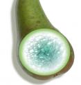 Montage of a pear and its inner structure, including the air pathways.