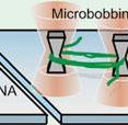 A diagram showing the action of a microneedle and microbobbins making single, long DNA strands easier to control.
