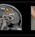 When a child is shown a photo of someone accidently hurting himself, portions of the brain are activated which are related to pain.