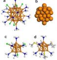 Structure of phosphine-chloride- and phosphine-thiolate-protected 39- and 11-atom gold clusters. (a) 39-atom gold cluster; (b) 39-atom gold cluster core; (c) 11-atom gold cluster; and (d) 11-atom gold cluster.